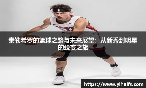 BB贝博登录入口